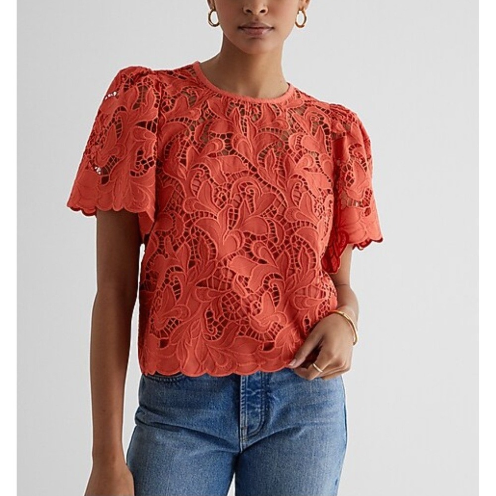Express Embroidered Crochet Lace Puff Sleeve Top Rust Autumn Romantic Boho S NWT